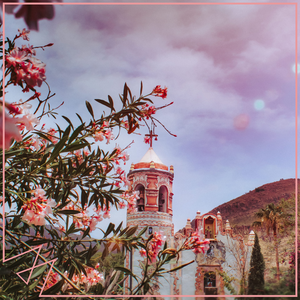 骚屄被插到白浆爆出
